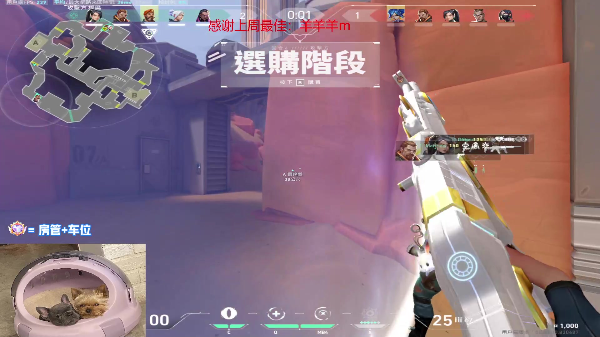 【2023-02-19 21点场】瓦罗兰特啊杰：【啊杰】：版本答案 M4练起来