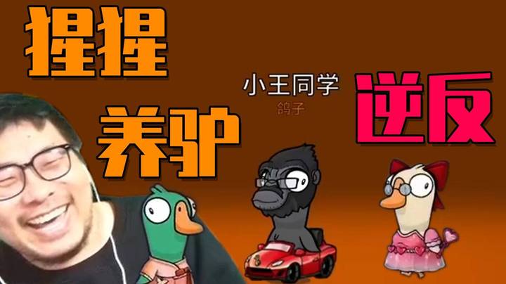 【王师傅】猩猩养驴，装工程师玩弄人心的坏鸽子！