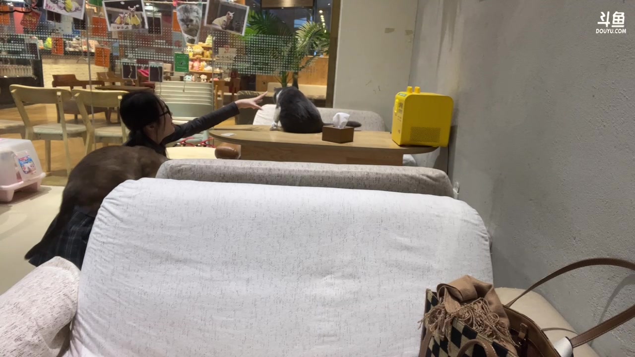 【2023-02-21 19点场】若若跑的贼快：小若去重庆，不定时户外