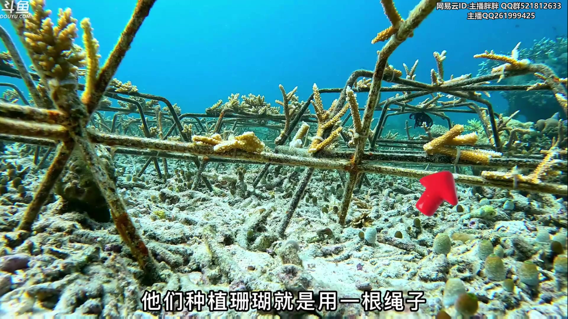 【2023-02-21 02点场】胖胖灬：胖胖OB：G2 VS KOI