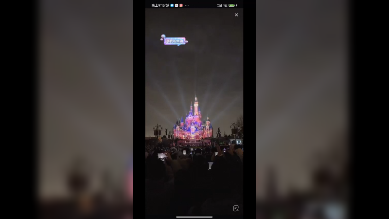 上海迪士尼动画秀表演，不错