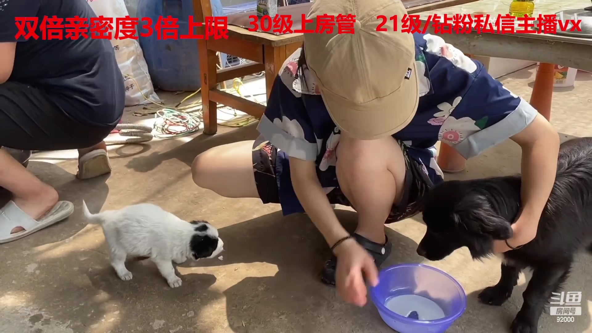 【2023-02-21 05点场】呆妹儿小霸王：【黄金3倍】：一起see