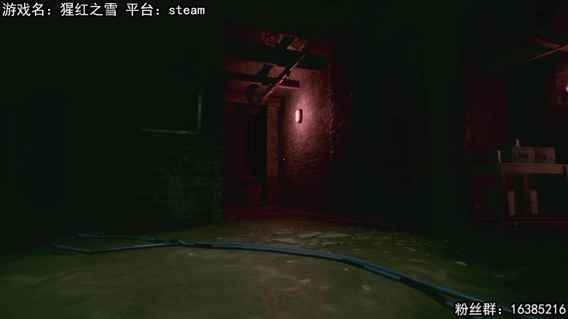 【2023-02-19 14点场】兔了了丶：【恐怖在线】：恐怖惊悚刺激