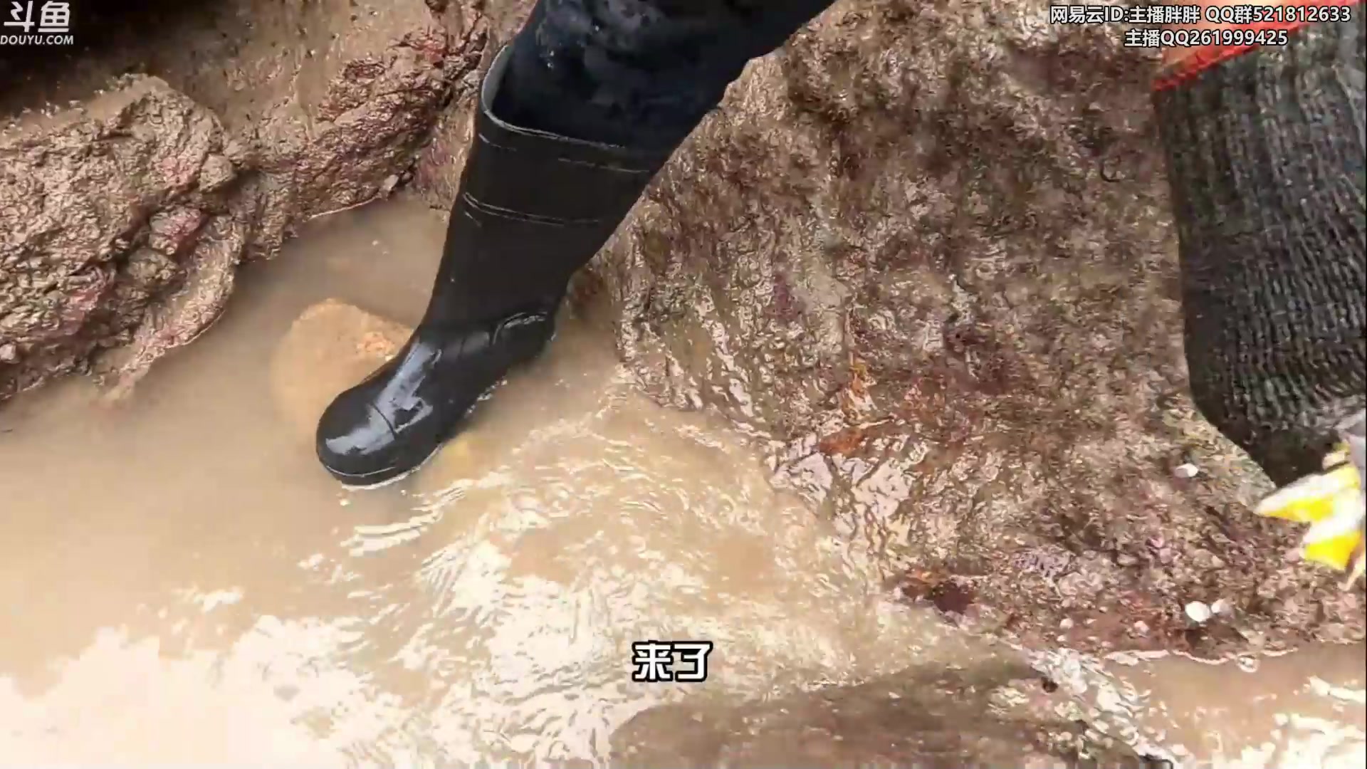 【2023-02-22 03点场】胖胖灬：胖胖OB：韩服王者WBG JD TES