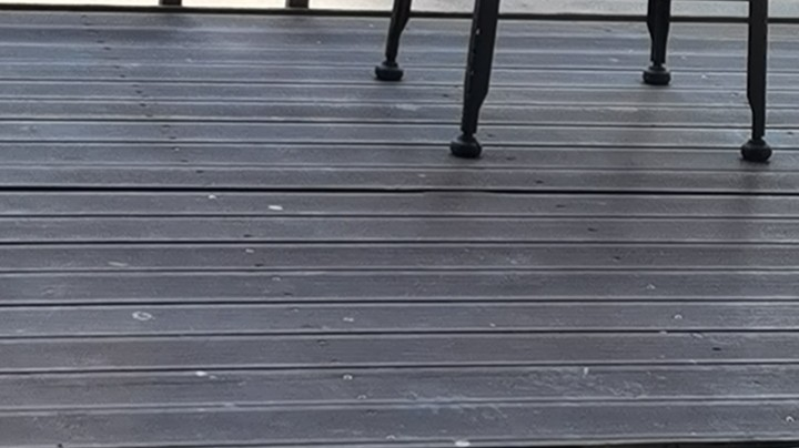 【2023-2-22 9点场】没事硪溜哒:家有小仙女