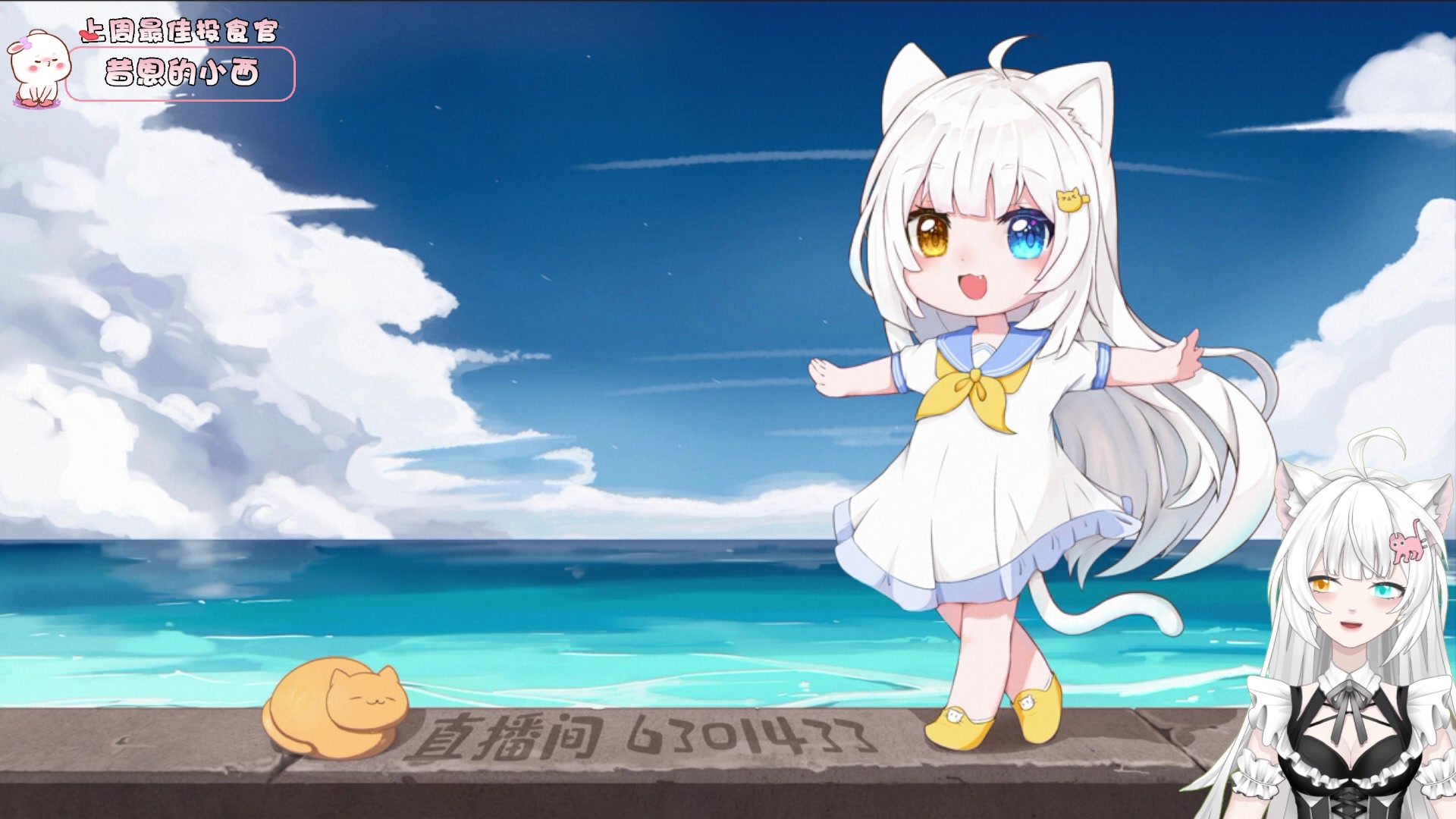 【2023-02-22 00点场】昔恩小姐姐：悍匪出征啦~