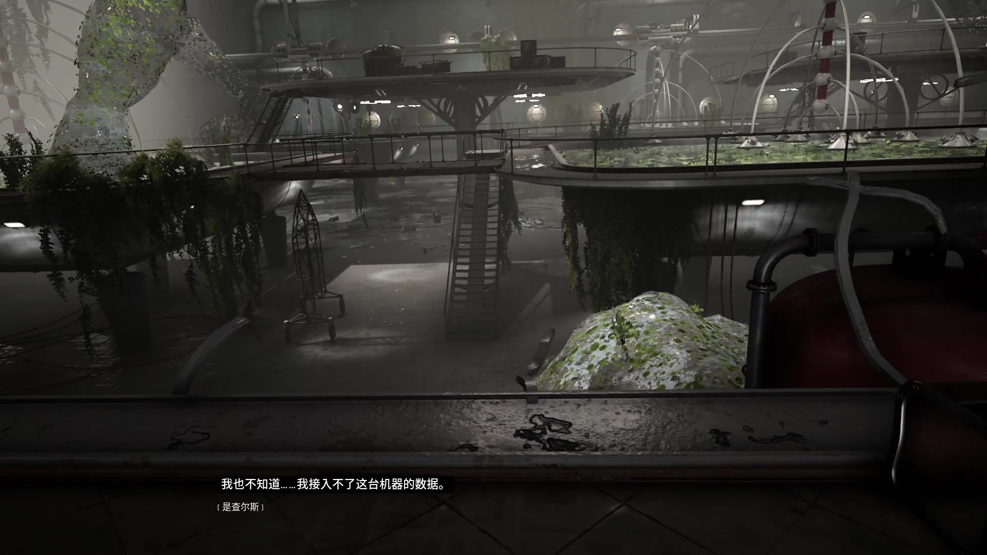 【2023-02-21 21点场】徐不鸽：黄金双倍，原原原