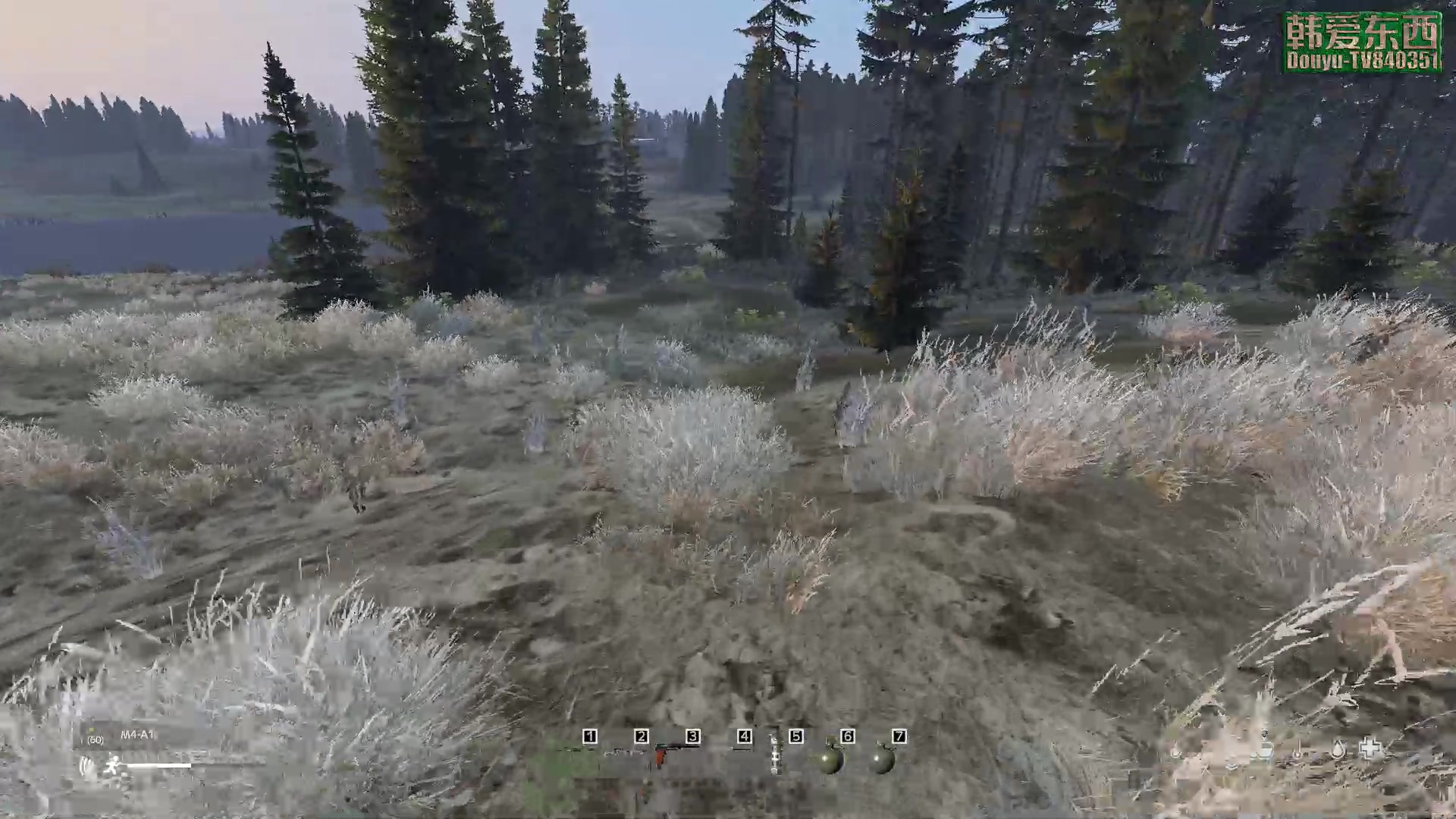 【2023-02-22 18点场】dayz韩爱东西：纳马斯克荒岛余生