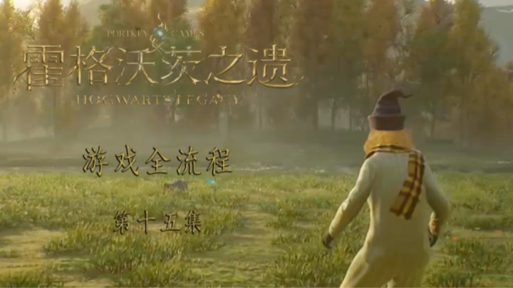《霍格沃茨-遗产》游戏全流程第十五集 :) 大蜘蛛