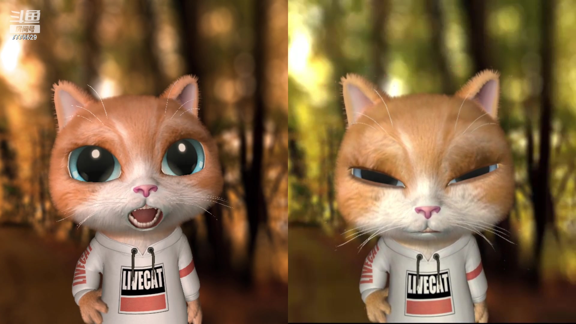 【2023-02-21 19点场】秀才冷男：【小奶团】今天4点，学舞蹈啦！