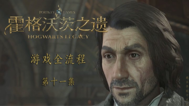 《霍格沃茨-遗产》游戏全流程第十一集 :) 魔药课