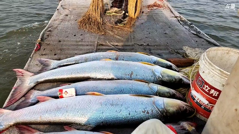 【户外】微山湖捕鱼武工队的精彩时刻 20230224 16点场