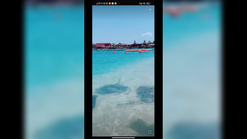 现在三亚海边就很多游客了，这鱼是什么