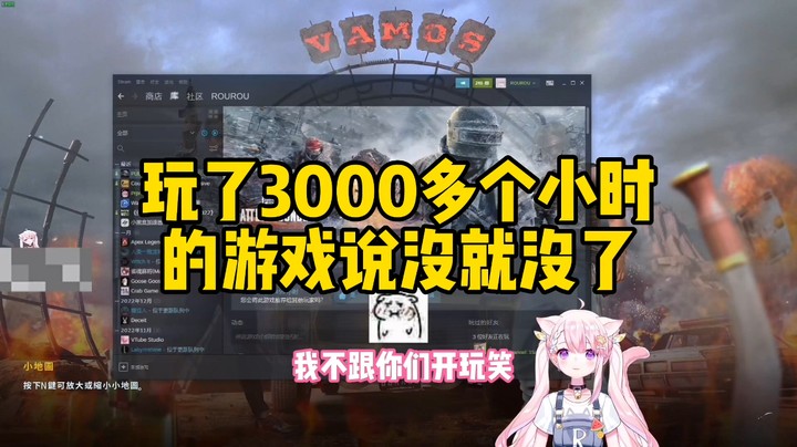 【肉肉】3000多小时的游戏时长没了...QAQ