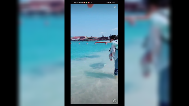 三亚海边这鱼，大家认识吗