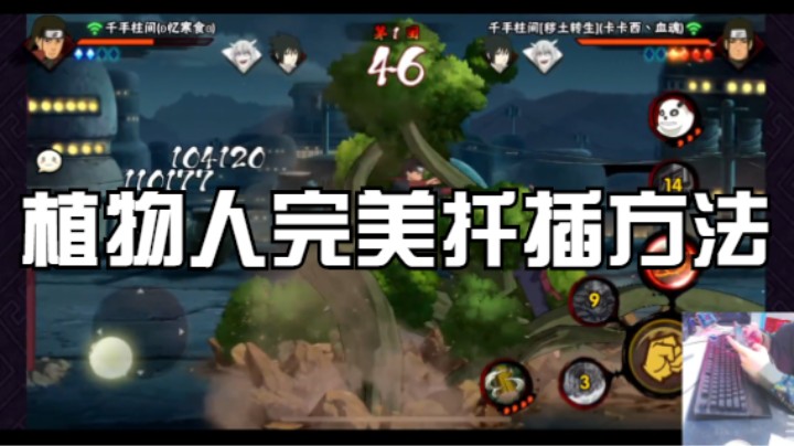 植物人完美扦插方法