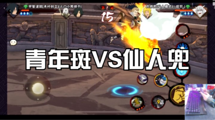 青年斑VS仙人兜