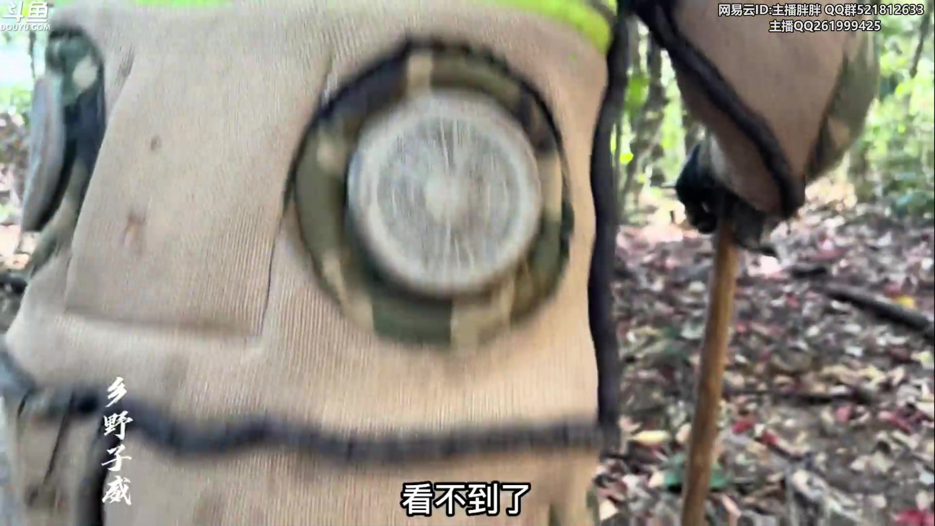 【2023-02-24 03点场】胖胖灬：胖胖OB：韩服王者WBG JD TES