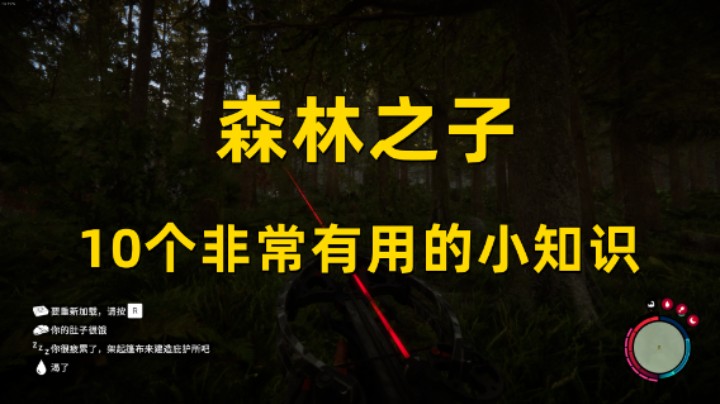 【森林之子】10个非常有用的小知识