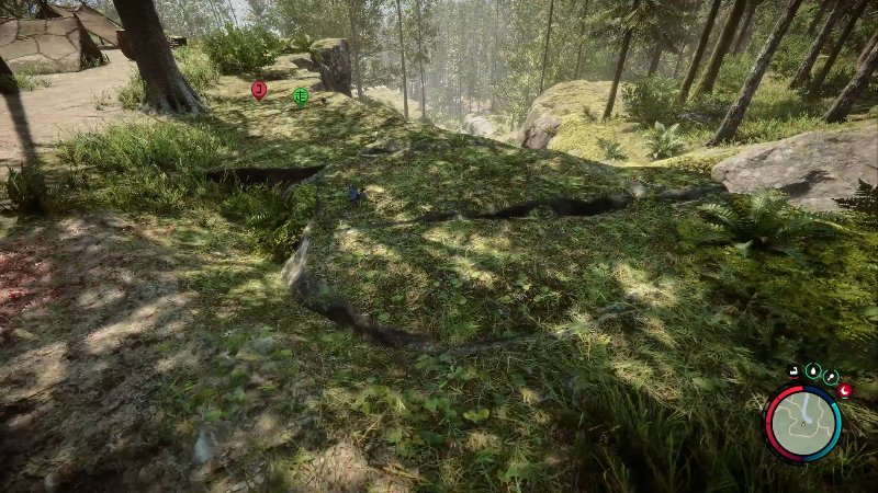 我在斗鱼看zard1991直播DOTA2