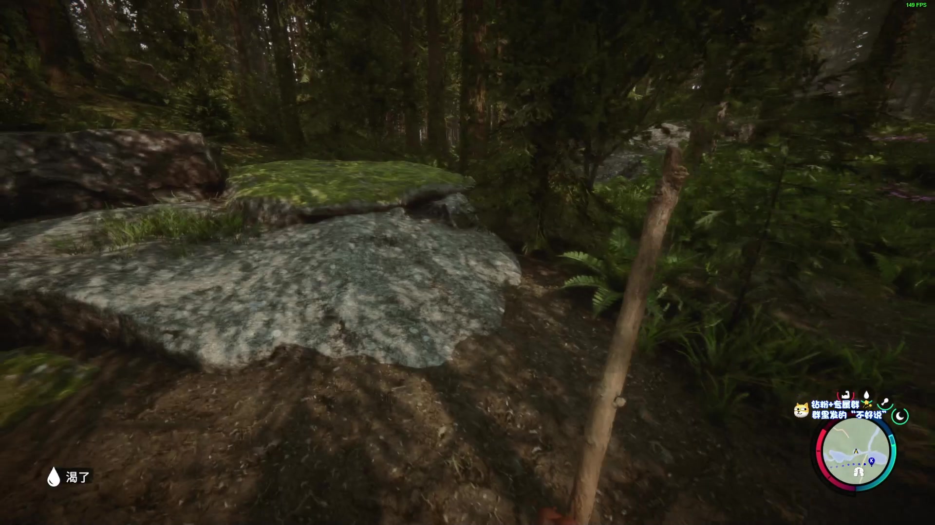 【2023-02-24 13点场】少囧丶：VTA-森林2试玩