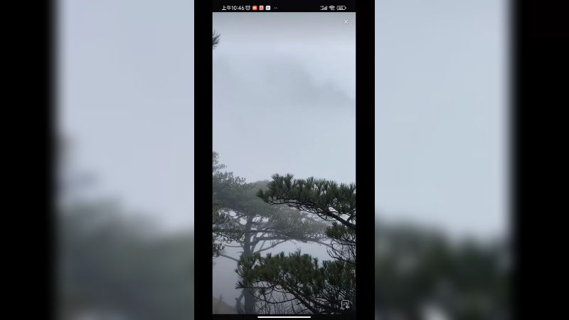 黄山今天大雾，朦胧美啊