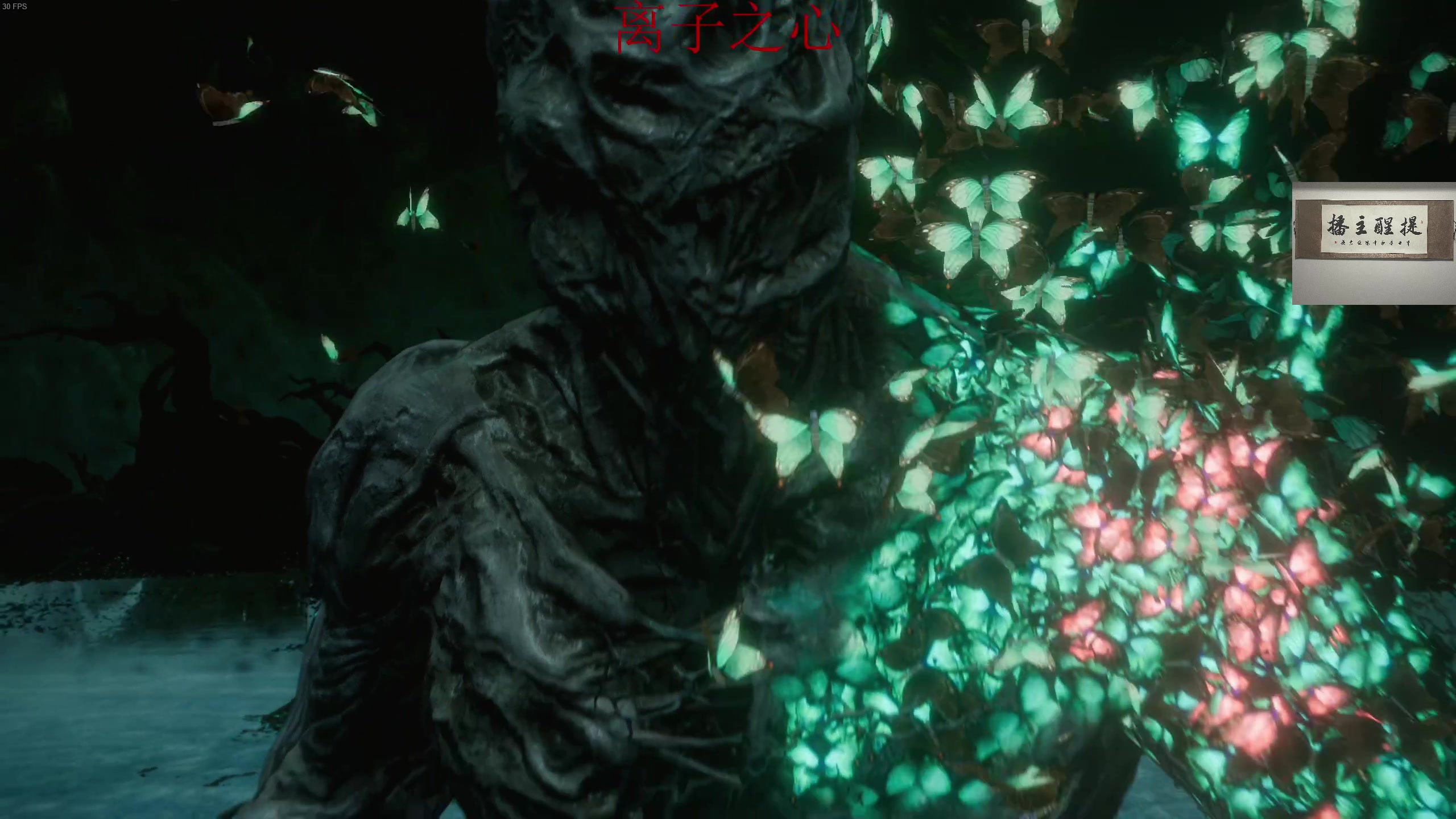 【2023-02-24 02点场】章随便先生：森林的king