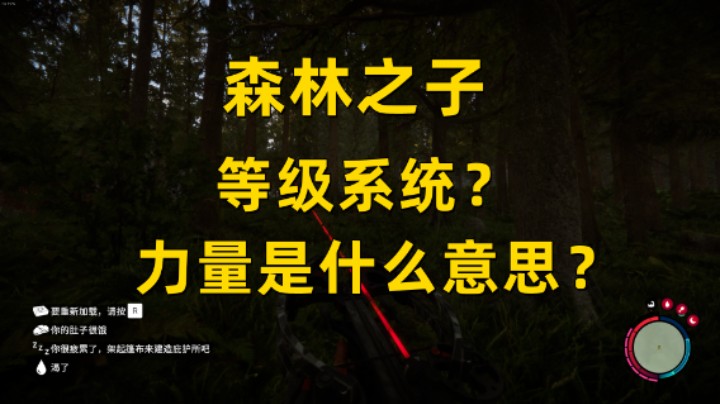 【森林之子】等级系统？力量代表的是什么意思？