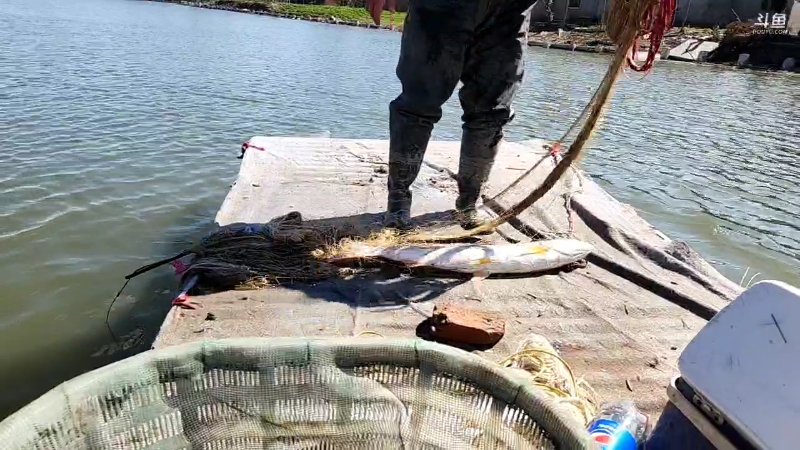 【户外】微山湖捕鱼武工队的精彩时刻 20230225 12点场