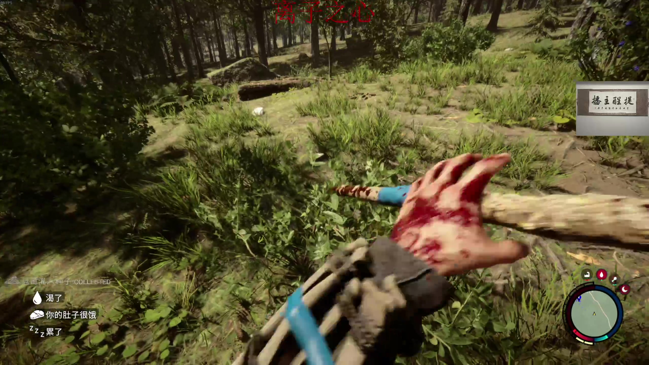 【2023-02-25 01点场】章随便先生：森林的king