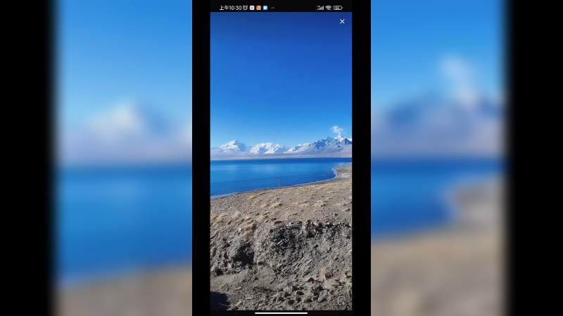 在西藏边放羊边看雪山，快乐啊