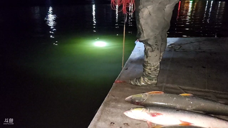 【户外】微山湖捕鱼武工队的精彩时刻 20230227 19点场