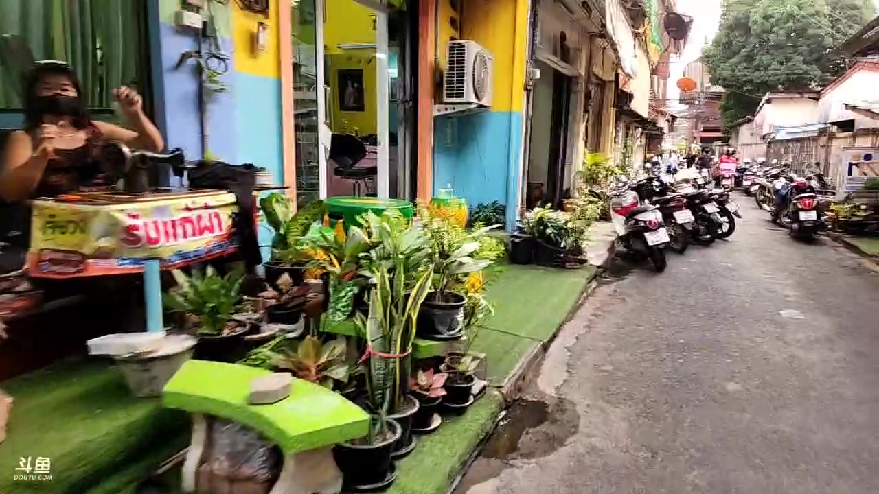 【2023-2-18 18点场】叶子户外:泰国边境线day4