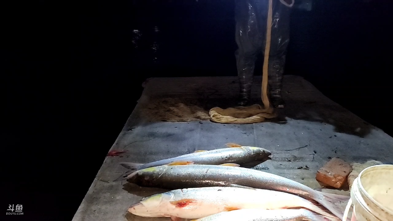 【户外】微山湖捕鱼武工队的精彩时刻 20230227 19点场