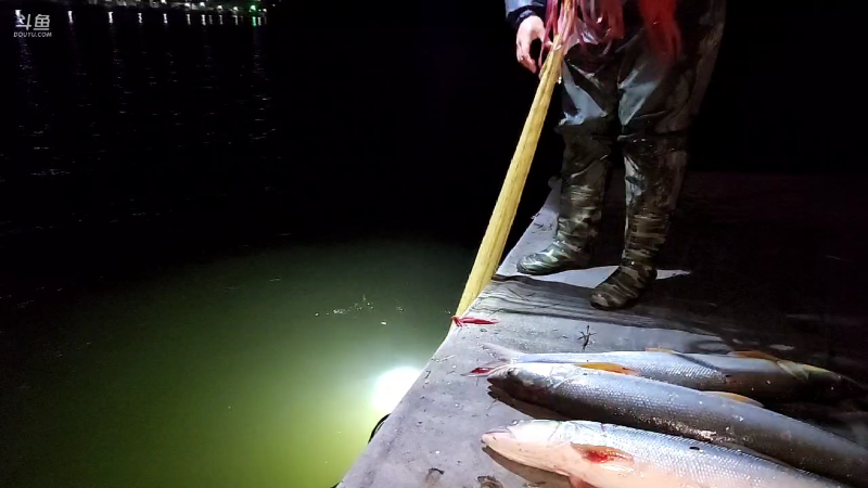 【户外】微山湖捕鱼武工队的精彩时刻 20230227 19点场