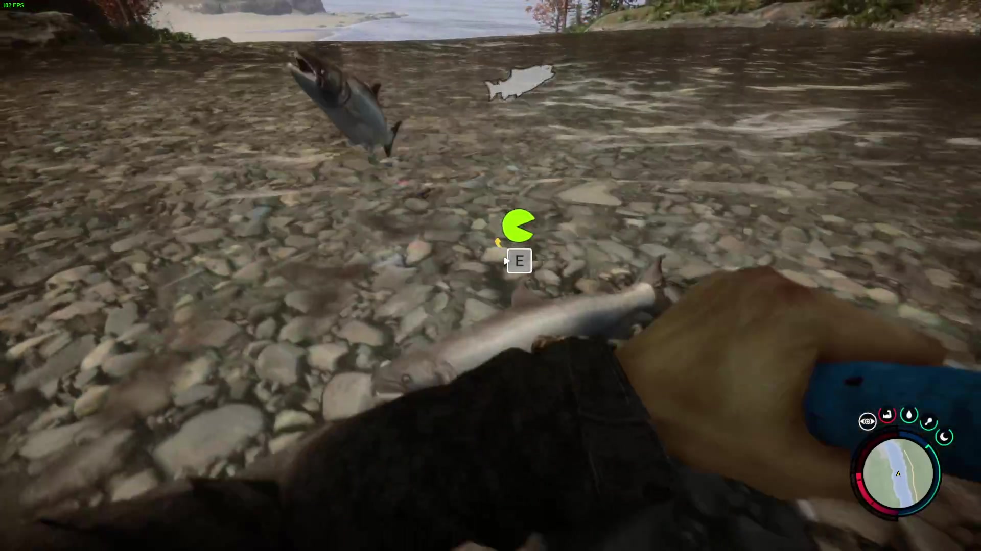 【2023-02-27 20点场】郑伟丶：头晕 喉咙疼 咳凑 流鼻涕 不发烧