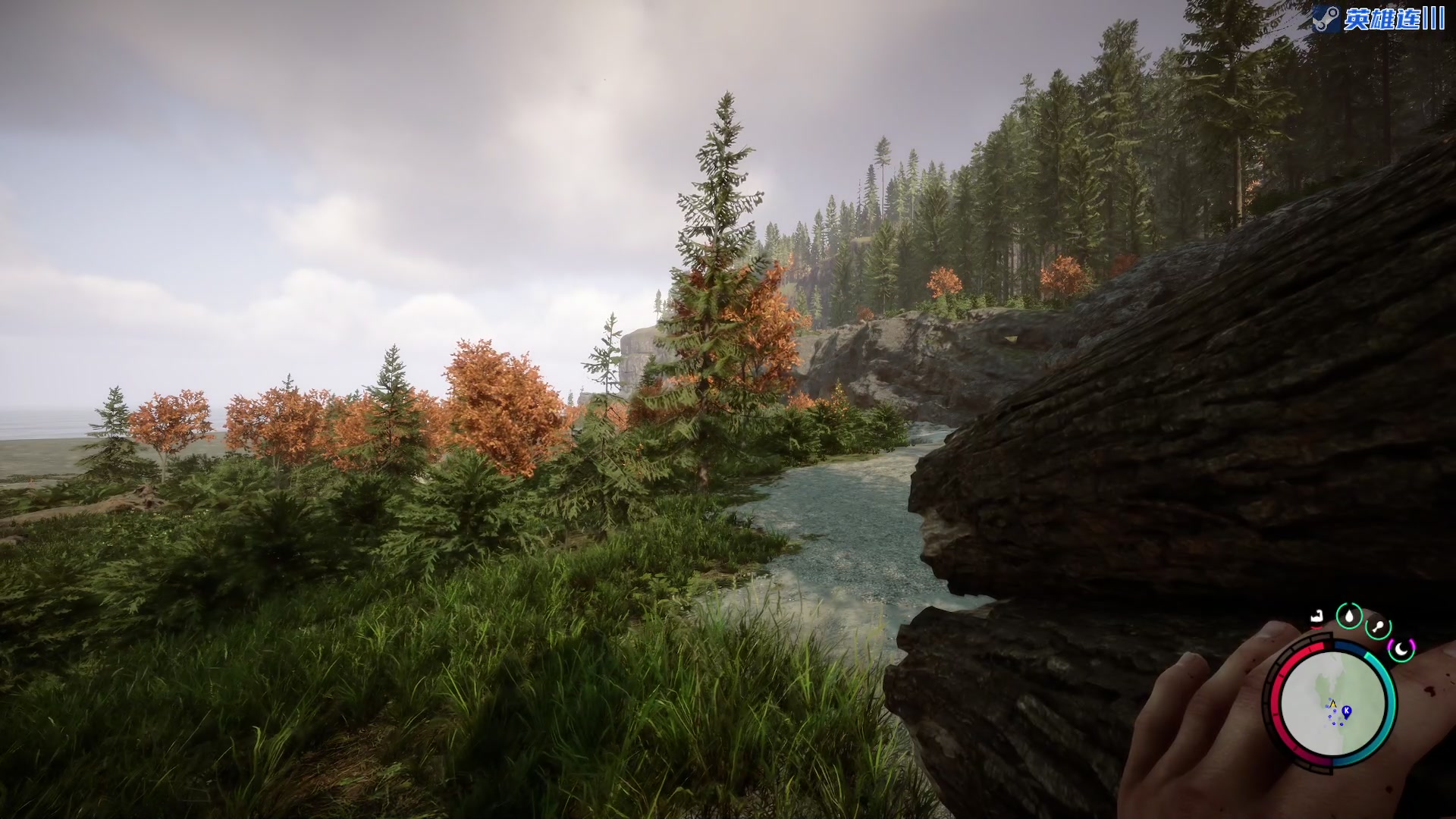 【2023-02-27 09点场】陶可可coco：魔女可# 久违的晨播