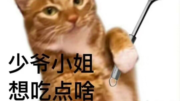 快乐迪达拉