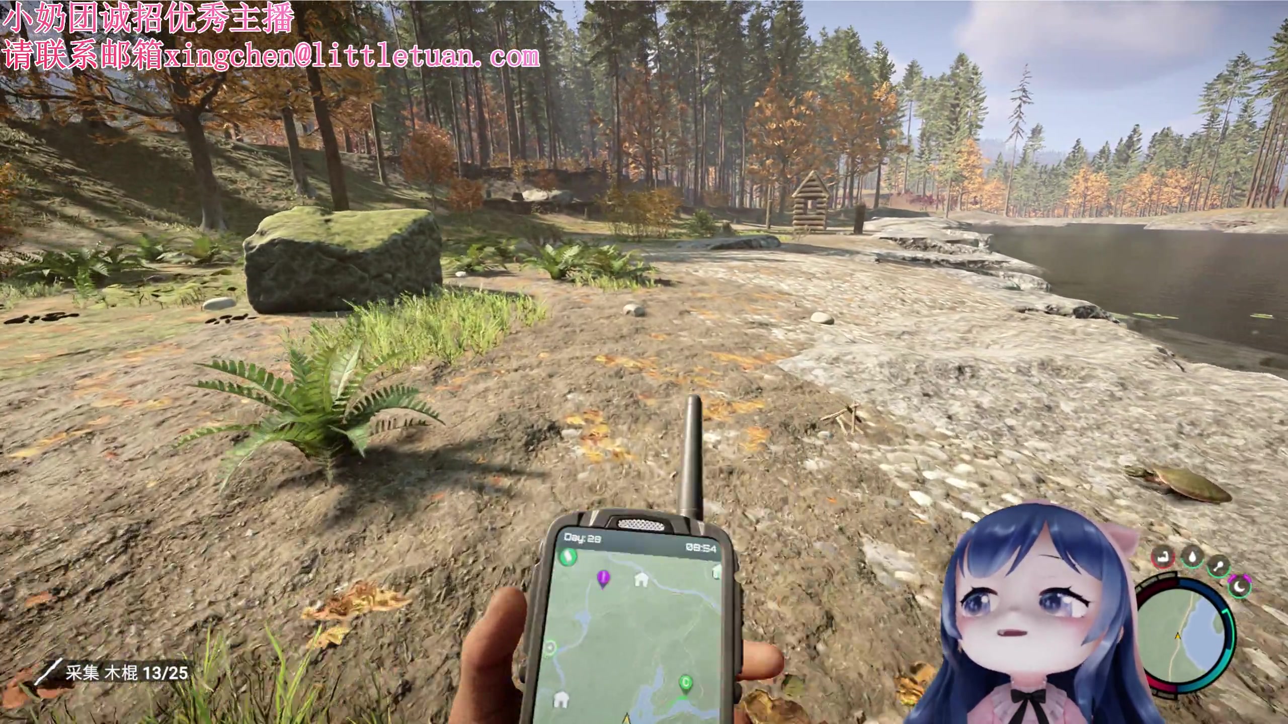 【2023-02-26 21点场】一条小团团OvO：这就是沉浸室游戏~