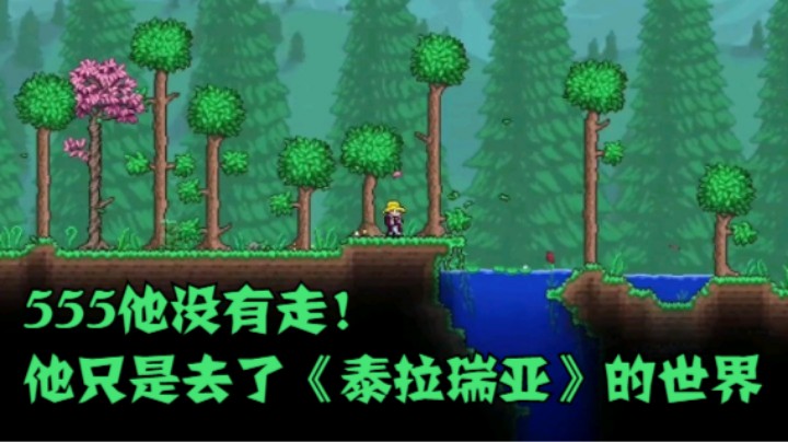 555他没有走！他只是去了《泰拉瑞亚》的世界
