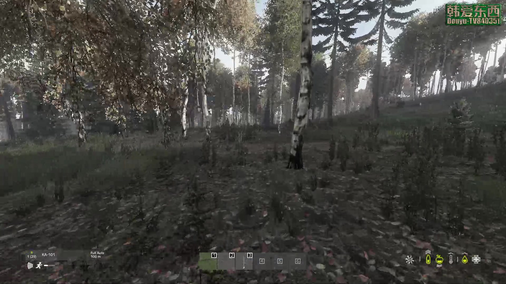 【2023-02-27 15点场】dayz韩爱东西：纳马斯克荒岛余生