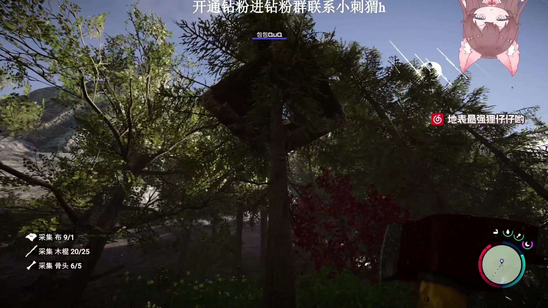 【2023-02-27 21点场】地表最强狸仔仔哟：建造类天才设计师狸瓦妹