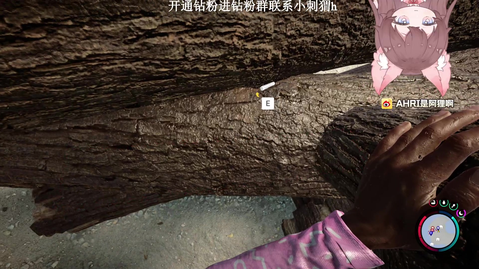 【2023-02-27 01点场】地表最强狸仔仔哟：建造类天才设计师狸瓦妹