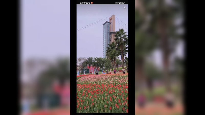 成都的鲜花花园很好看啊