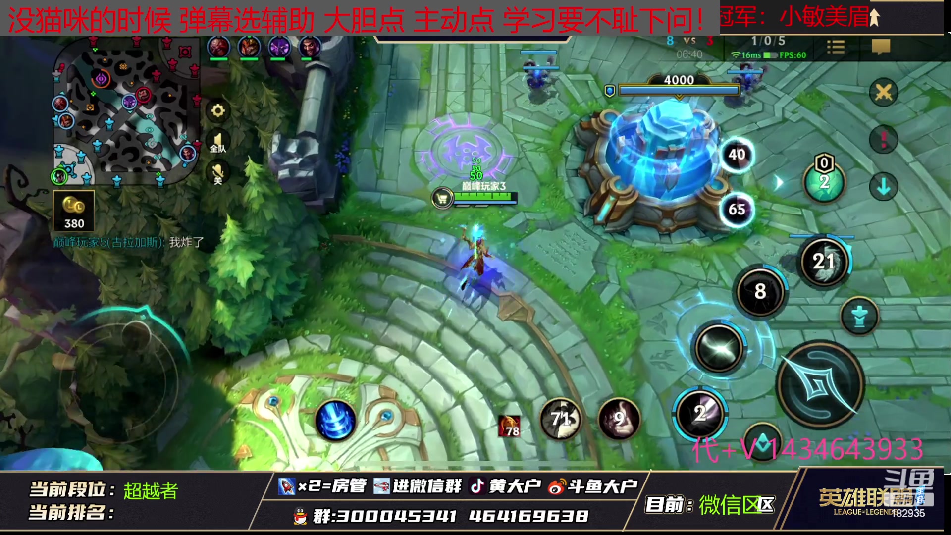 【2023-02-24 20点场】大户呀：不灭者直冲国1猫咪！ 猪猪飞弹