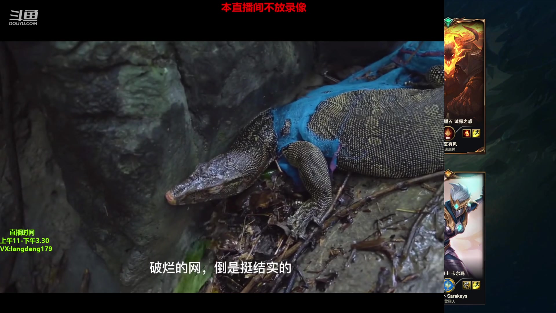 【2023-02-28 11点场】浪灯赵信：不当人打野，反野天花板