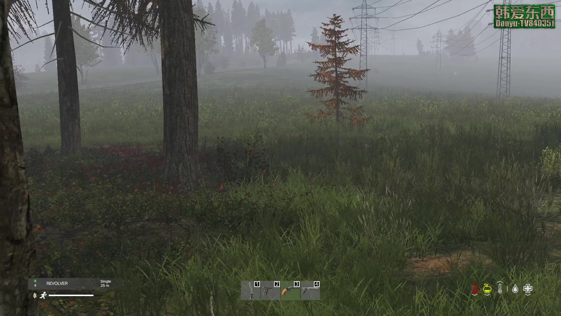 【2023-02-28 15点场】dayz韩爱东西：纳马斯克荒岛余生