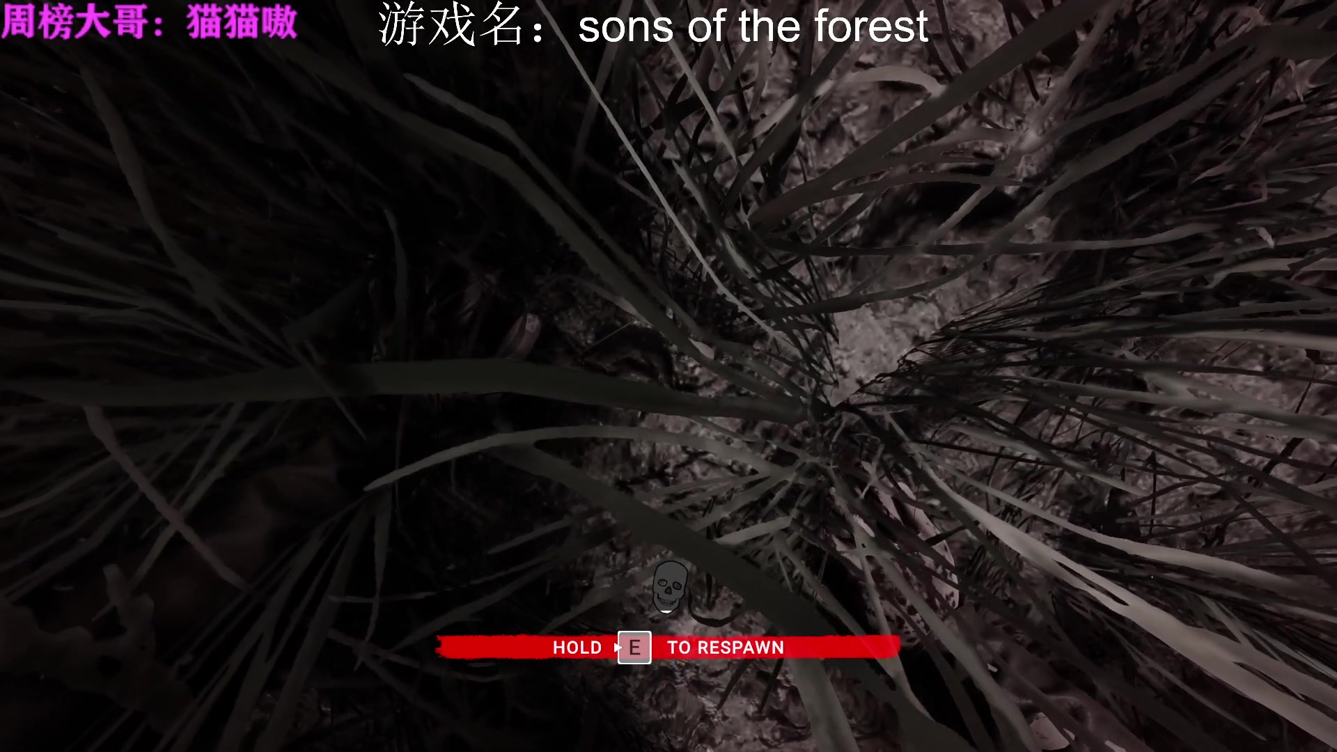 【2023-02-25 13点场】迦南的喃喃呀：土生土长地拆哪主播，点点关注呦
