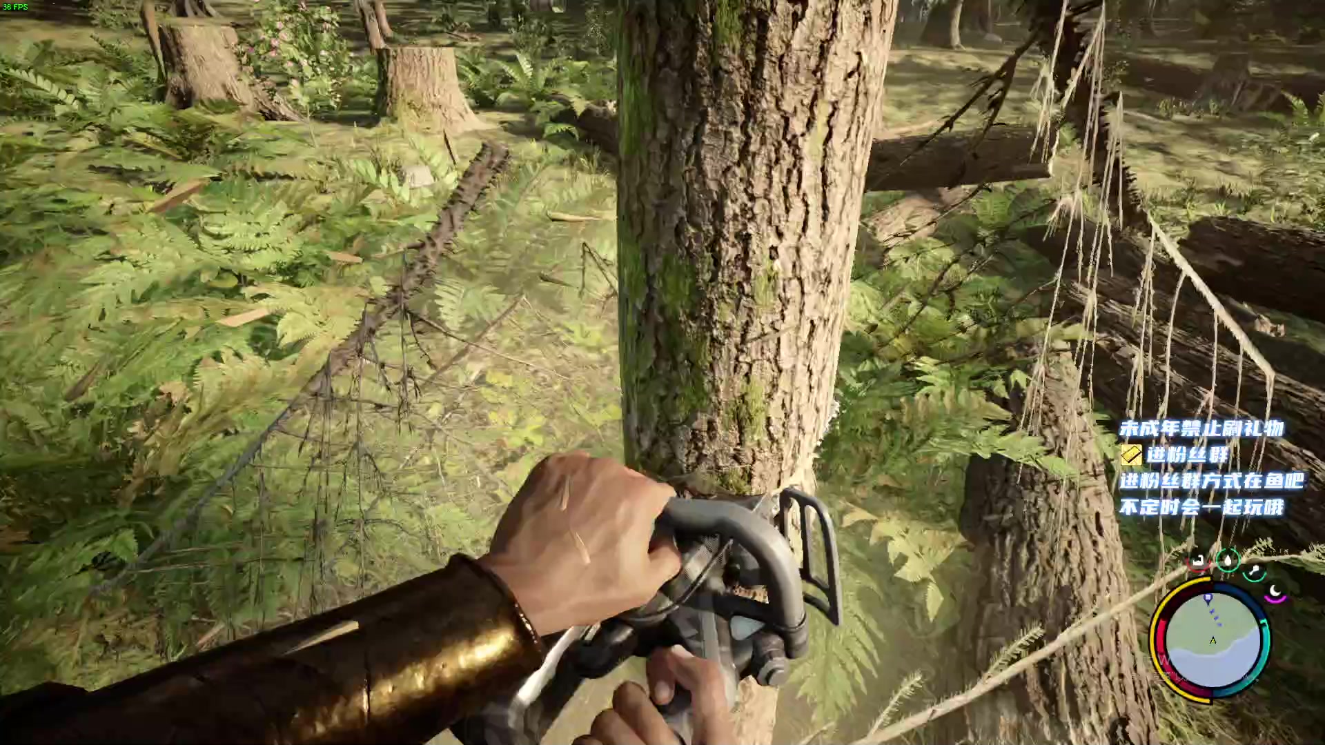 【2023-03-01 00点场】小小宋OAO：✨小小宋✨开心快乐每一天～