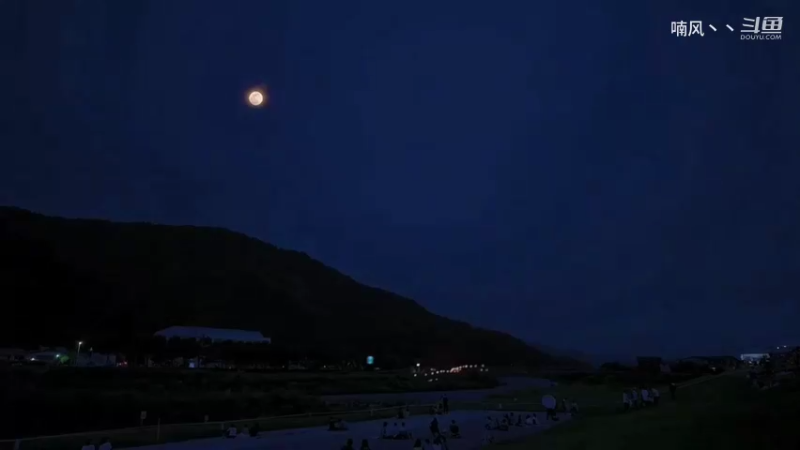 《烟花合集》这么浪漫当然要分享给你